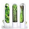 Fresh Herb Keeper for Refrigerator – Airtight Herb Storage Container | BPA-Free, Transparent Holder Keeps Coriander, Mint, Cilantro, Parsley & More Fresh Longer (1 PCS) - Luxi Cart