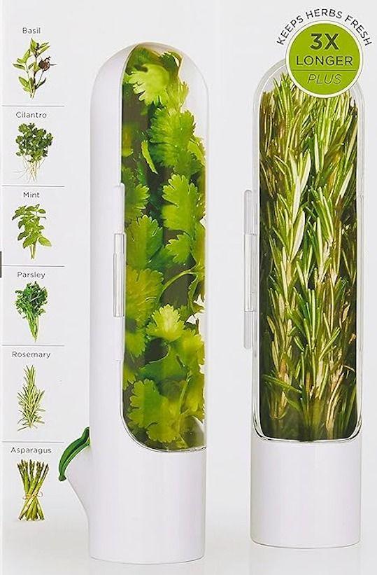 Fresh Herb Keeper for Refrigerator – Airtight Herb Storage Container | BPA-Free, Transparent Holder Keeps Coriander, Mint, Cilantro, Parsley & More Fresh Longer (1 PCS) - Luxi Cart